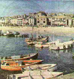stives1.jpg (12083 bytes)